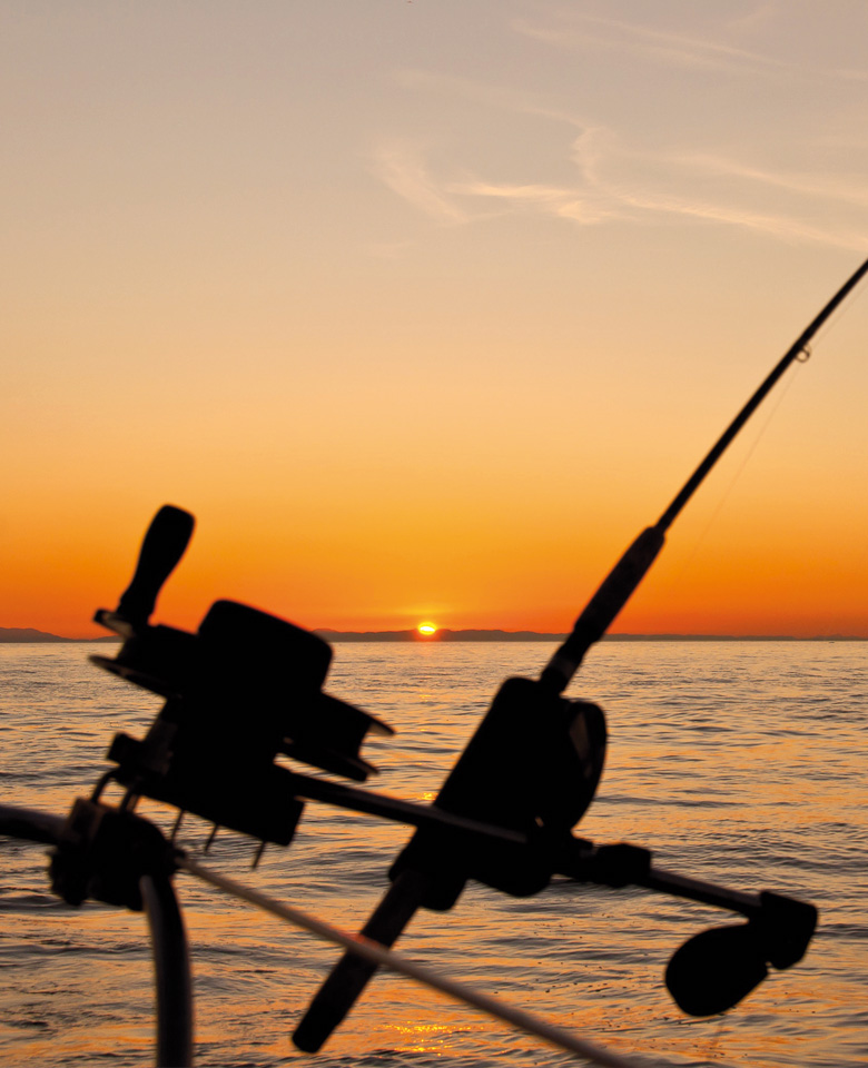 This image for Image Layouts addon